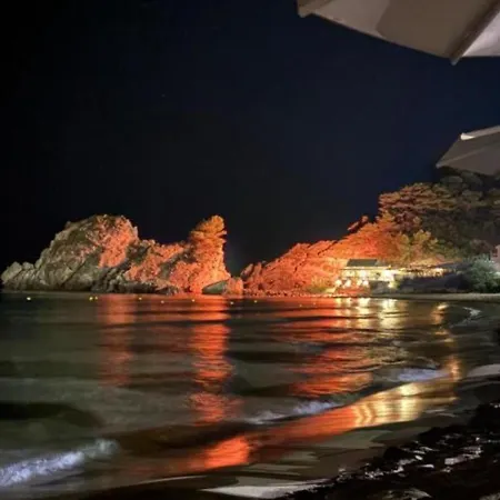 Tonia Kontogialos פלקאס