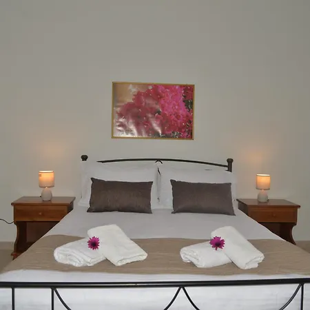 Tonia Kontogialos מלון דירות פלקאס