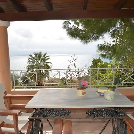 Tonia Kontogialos פלקאס